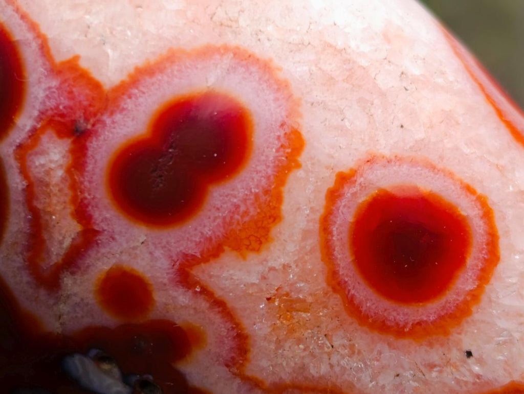 Polished Spotted Carnelian Gemstone Standing Display Piece x 1 From Madagascar