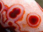 Polished Spotted Carnelian Gemstone Standing Display Piece x 1 From Madagascar