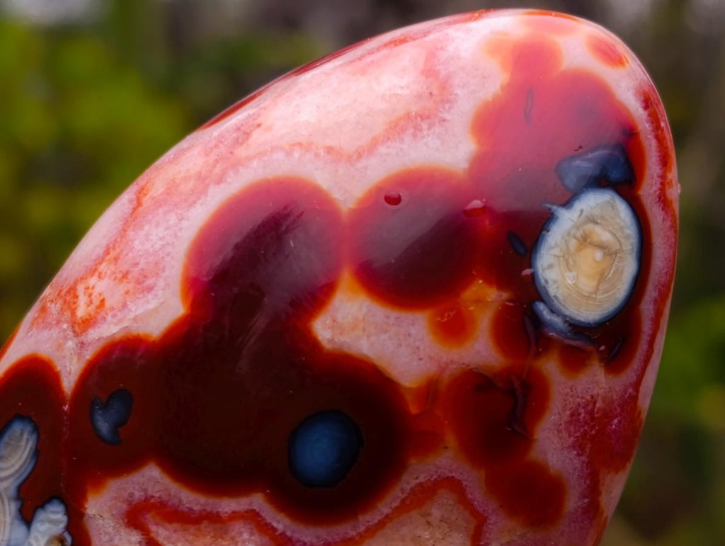 Polished Spotted Carnelian Gemstone Standing Display Piece x 1 From Madagascar