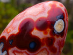 Polished Spotted Carnelian Gemstone Standing Display Piece x 1 From Madagascar