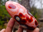 Polished Spotted Carnelian Gemstone Standing Display Piece x 1 From Madagascar