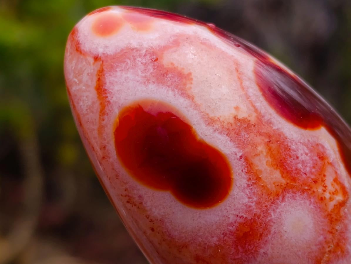 Polished Spotted Carnelian Gemstone Standing Display Piece x 1 From Madagascar