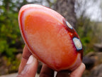 Polished Spotted Carnelian Gemstone Standing Display Piece x 1 From Madagascar
