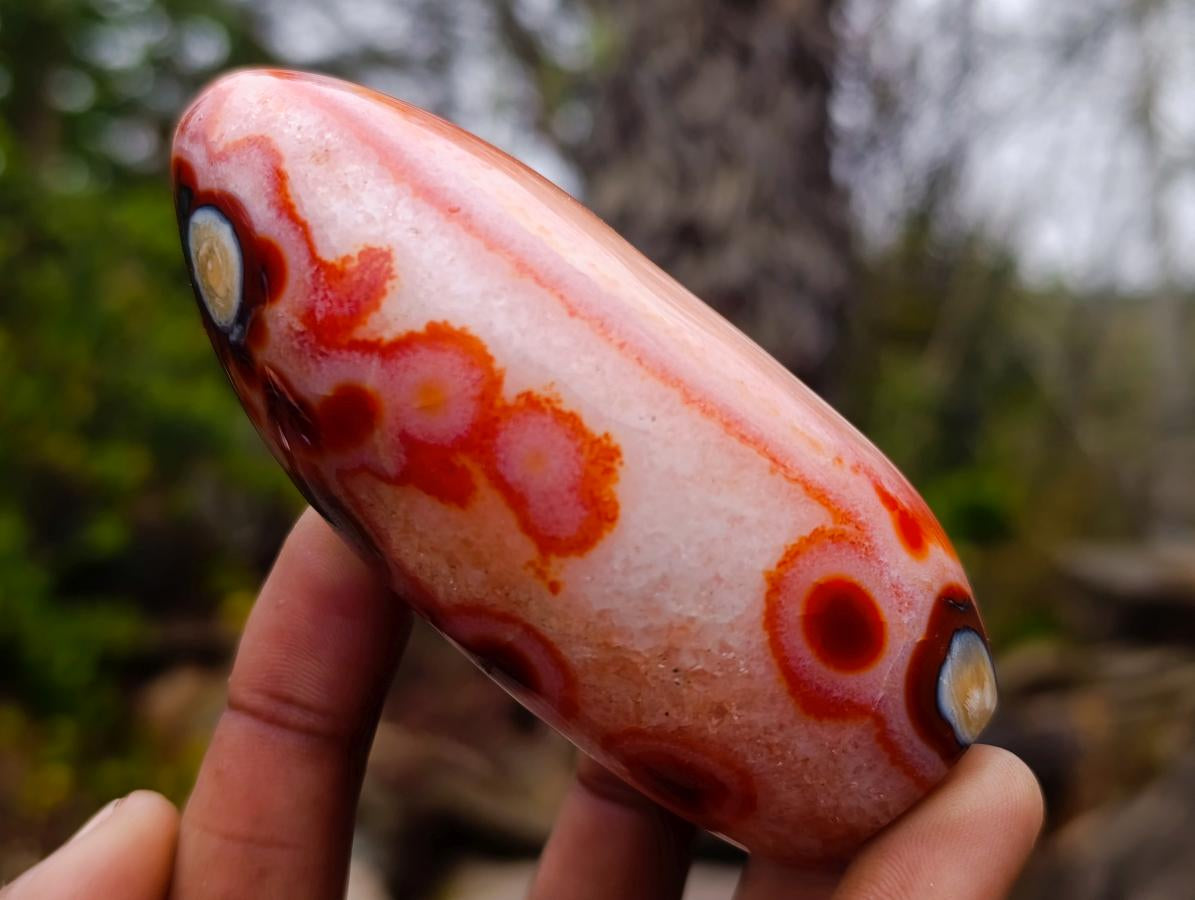 Polished Spotted Carnelian Gemstone Standing Display Piece x 1 From Madagascar