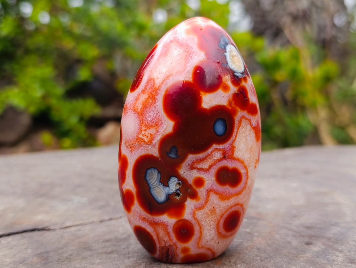 Polished Spotted Carnelian Gemstone Standing Display Piece x 1 From Madagascar