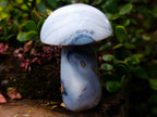 Polished Banded White Agate Mushroom x 1 From Madagascar