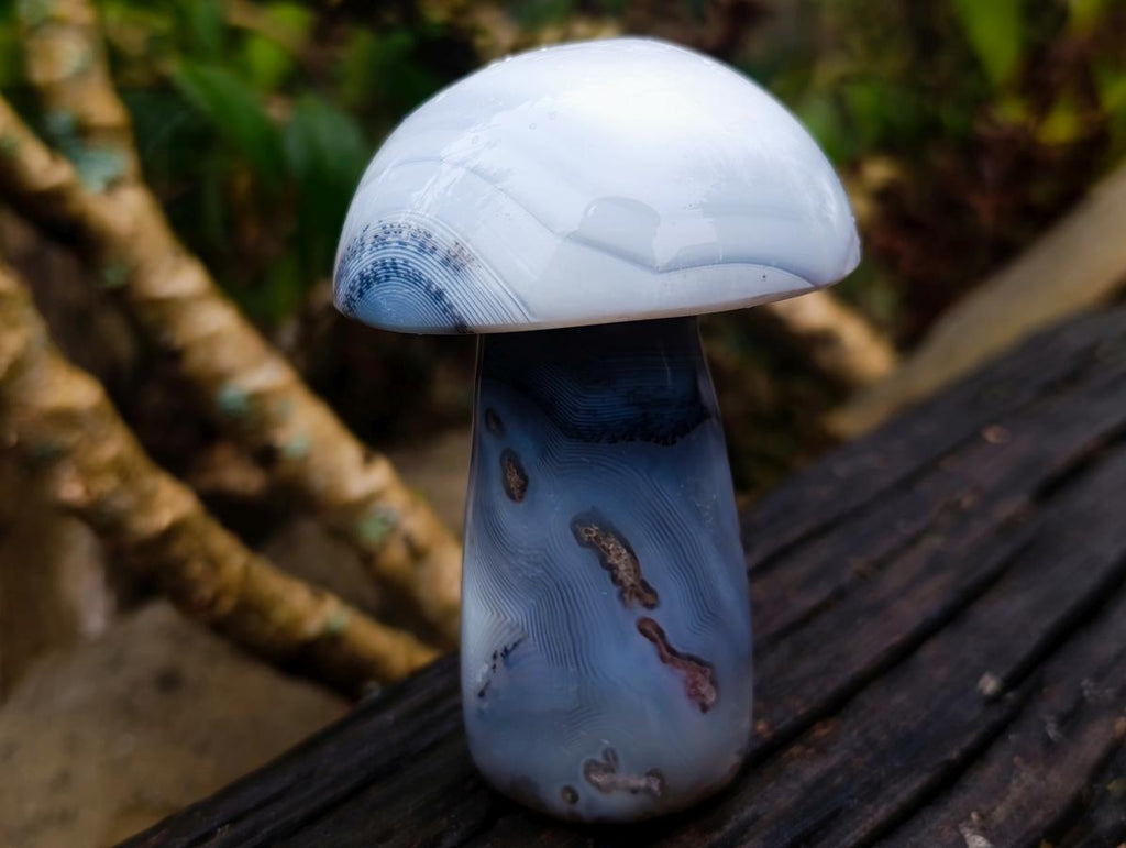 Polished Banded White Agate Mushroom x 1 From Madagascar
