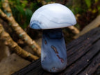 Polished Banded White Agate Mushroom x 1 From Madagascar
