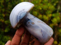 Polished Banded White Agate Mushroom x 1 From Madagascar