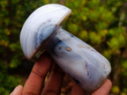 Polished Banded White Agate Mushroom x 1 From Madagascar