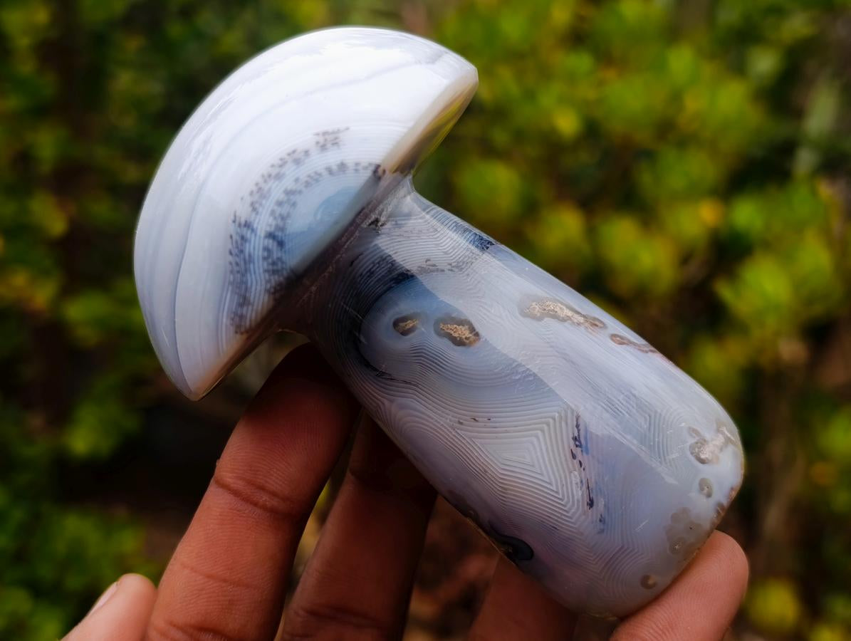 Polished Banded White Agate Mushroom x 1 From Madagascar