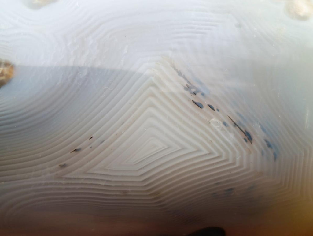 Polished Banded White Agate Mushroom x 1 From Madagascar