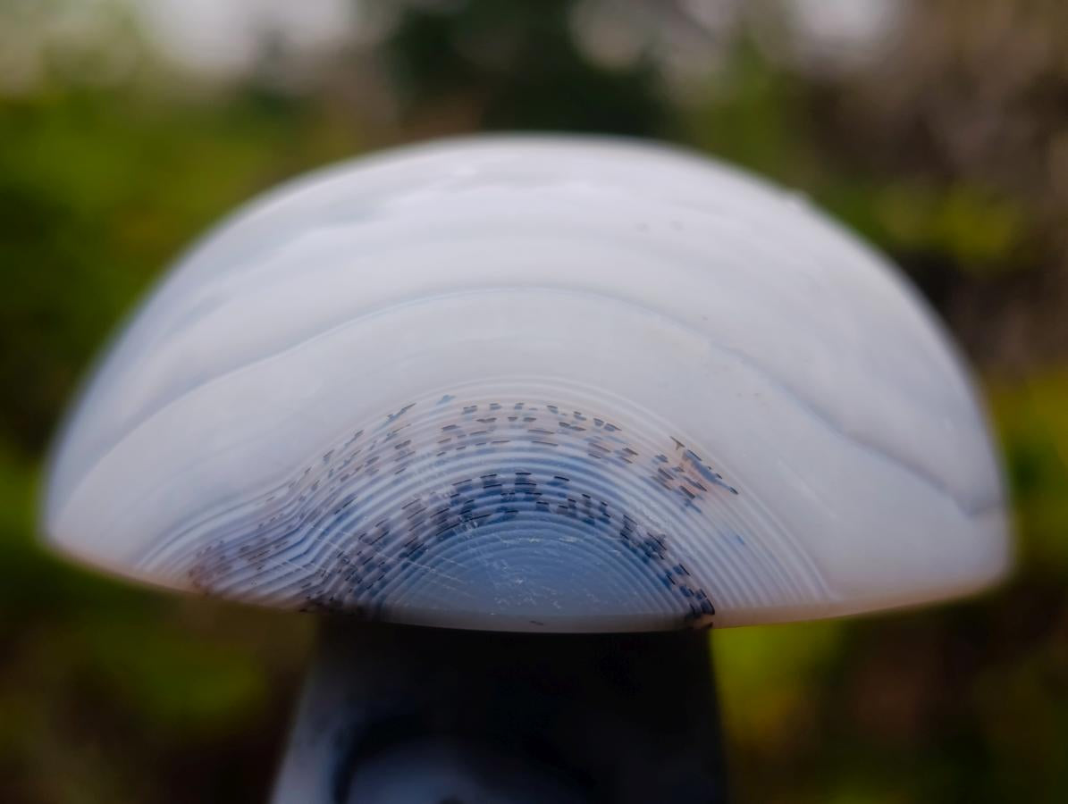 Polished Banded White Agate Mushroom x 1 From Madagascar