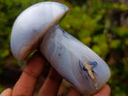 Polished Banded White Agate Mushroom x 1 From Madagascar