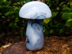 Polished Banded White Agate Mushroom x 1 From Madagascar