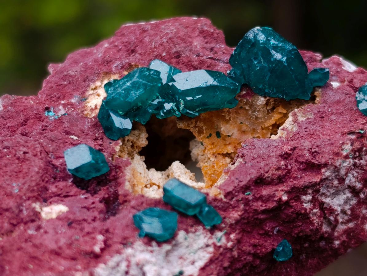 Natural Dioptase Specimen on a Dolomite Matrix x 1 From Mashamba East, Congo