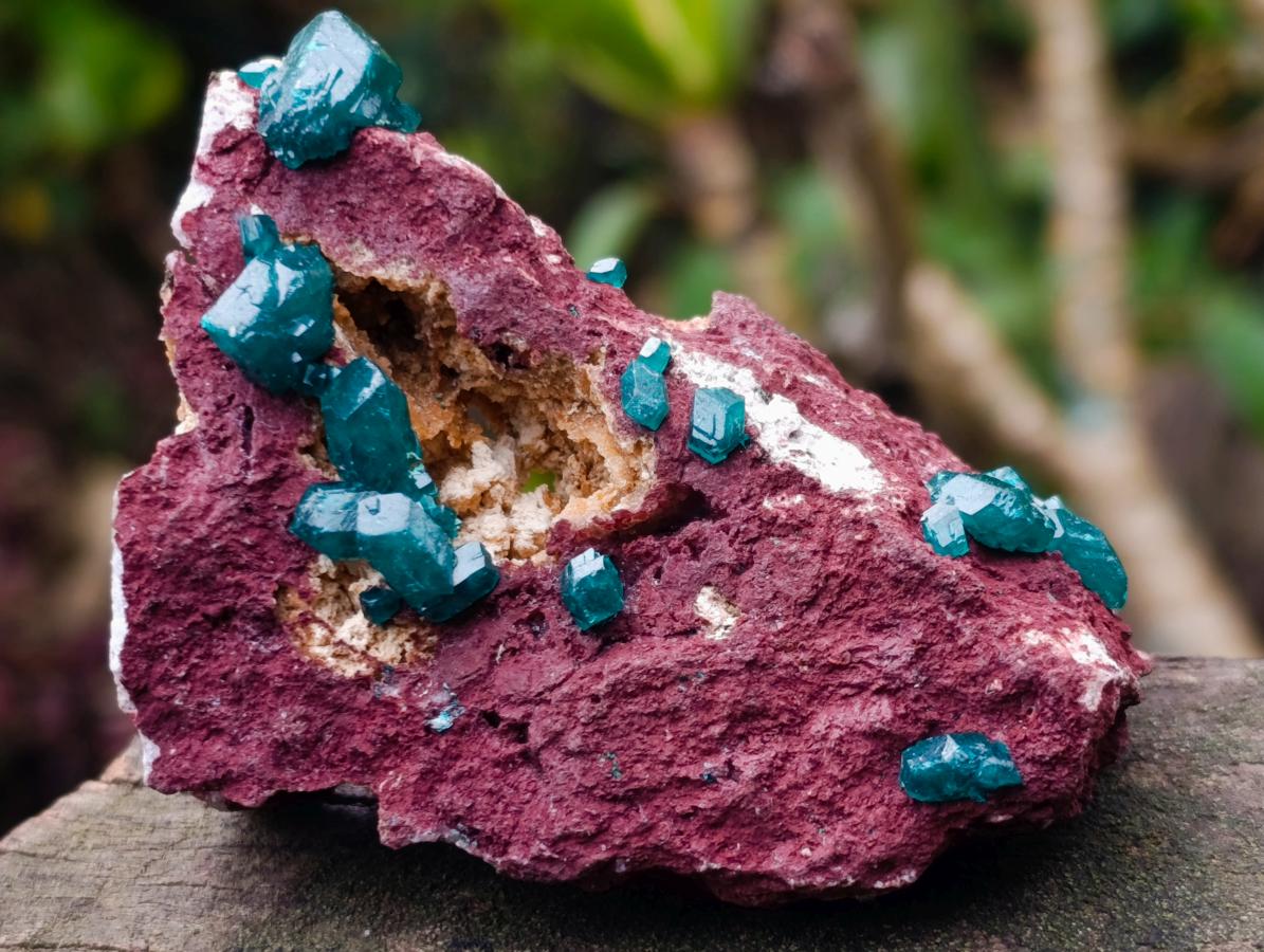 Natural Dioptase Specimen on a Dolomite Matrix x 1 From Mashamba East, Congo