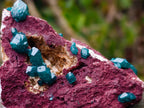 Natural Dioptase Specimen on a Dolomite Matrix x 1 From Mashamba East, Congo