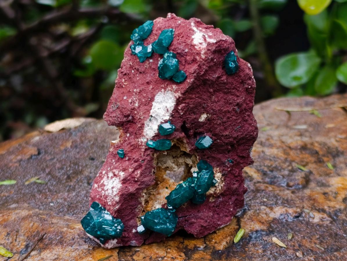 Natural Dioptase Specimen on a Dolomite Matrix x 1 From Mashamba East, Congo