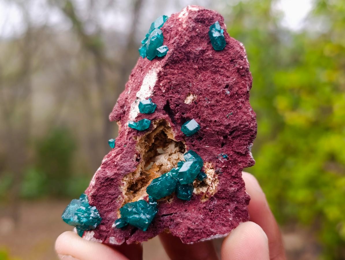 Natural Dioptase Specimen on a Dolomite Matrix x 1 From Mashamba East, Congo