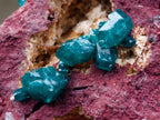 Natural Dioptase Specimen on a Dolomite Matrix x 1 From Mashamba East, Congo