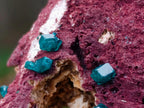 Natural Dioptase Specimen on a Dolomite Matrix x 1 From Mashamba East, Congo