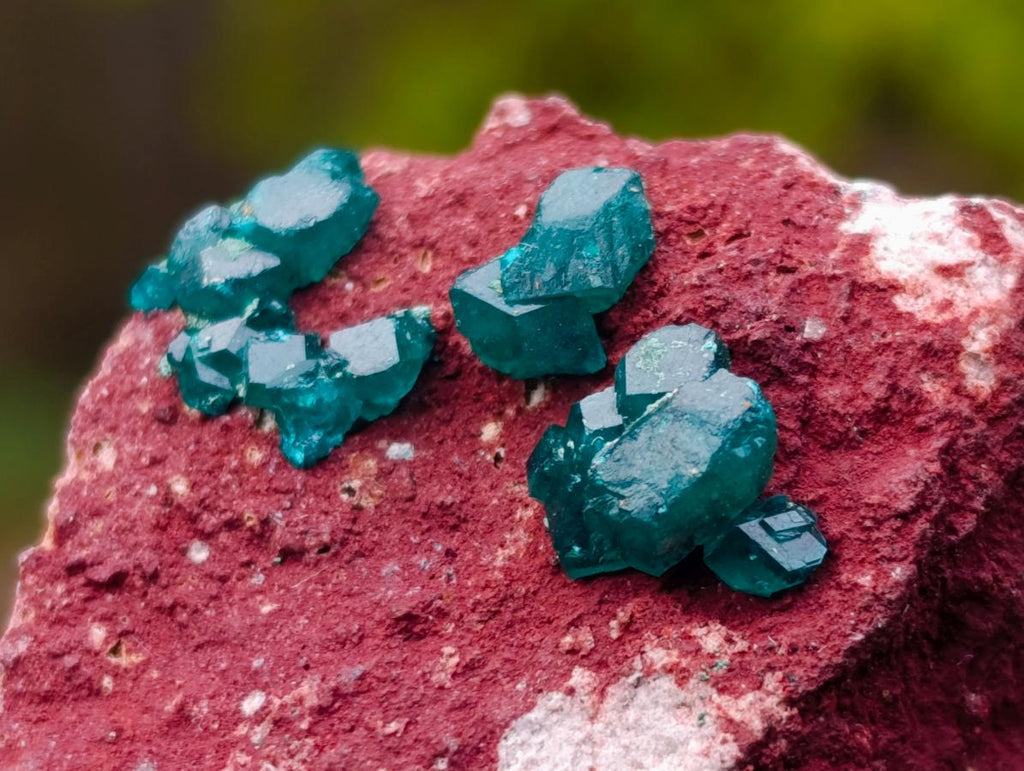 Natural Dioptase Specimen on a Dolomite Matrix x 1 From Mashamba East, Congo
