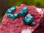 Natural Dioptase Specimen on a Dolomite Matrix x 1 From Mashamba East, Congo