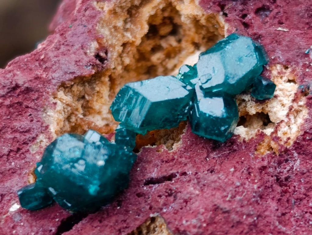Natural Dioptase Specimen on a Dolomite Matrix x 1 From Mashamba East, Congo