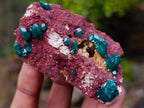 Natural Dioptase Specimen on a Dolomite Matrix x 1 From Mashamba East, Congo