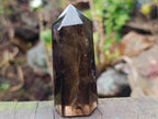 Polished Dark Smokey Quartz Crystal with Hollow Vesicle Chamber x 1 From Madagascar