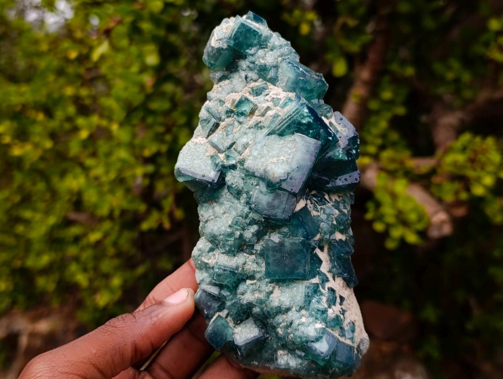 Natural Cubic Green Fluorite Specimen x 1 From Mandrosonoro, Madagascar