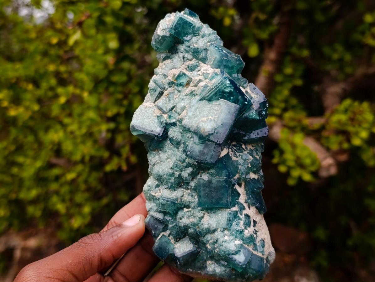 Natural Cubic Green Fluorite Specimen x 1 From Mandrosonoro, Madagascar