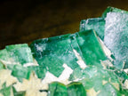 Natural Cubic Green Fluorite Specimen x 1 From Mandrosonoro, Madagascar
