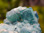 Natural Cubic Green Fluorite Specimen x 1 From Mandrosonoro, Madagascar