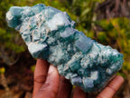 Natural Cubic Green Fluorite Specimen x 1 From Mandrosonoro, Madagascar