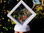 Polished Pair of Fossilised Baltic Amber Cabochon Earrings - Sold Per Pair - From Poland
