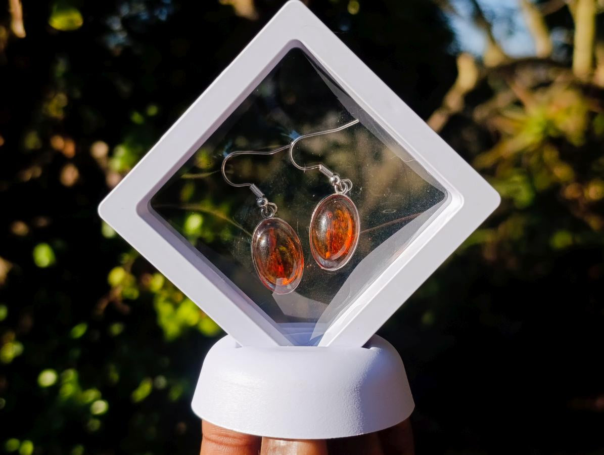 Polished Pair of Fossilised Baltic Amber Cabochon Earrings - Sold Per Pair - From Poland