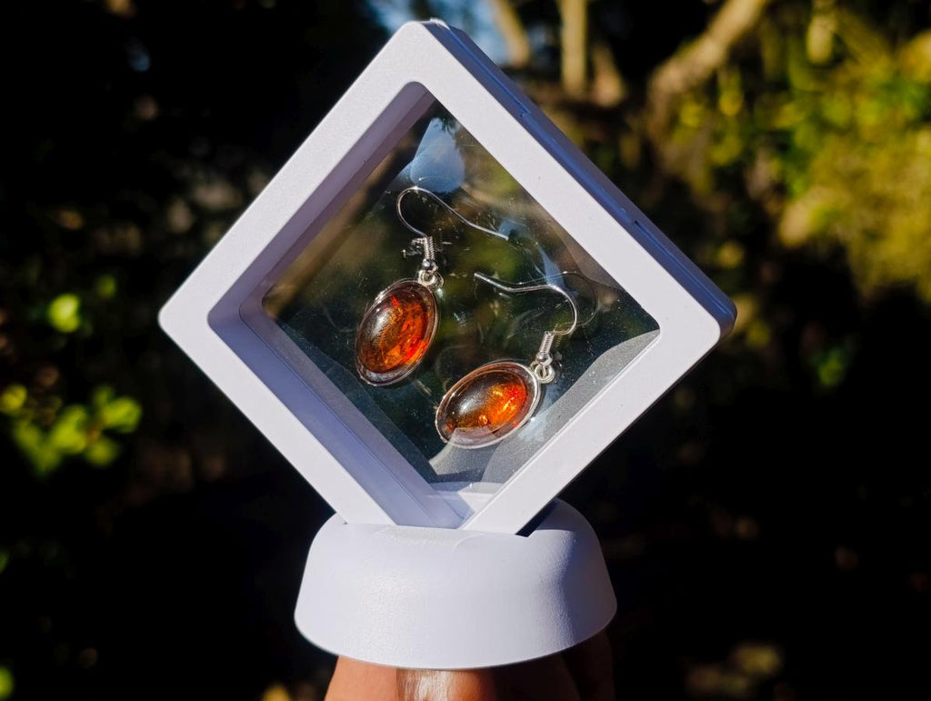 Polished Pair of Fossilised Baltic Amber Cabochon Earrings - Sold Per Pair - From Poland