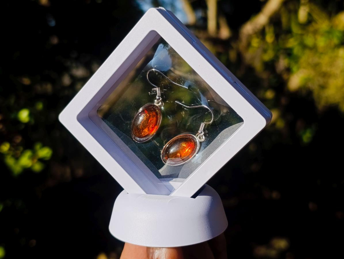 Polished Pair of Fossilised Baltic Amber Cabochon Earrings - Sold Per Pair - From Poland