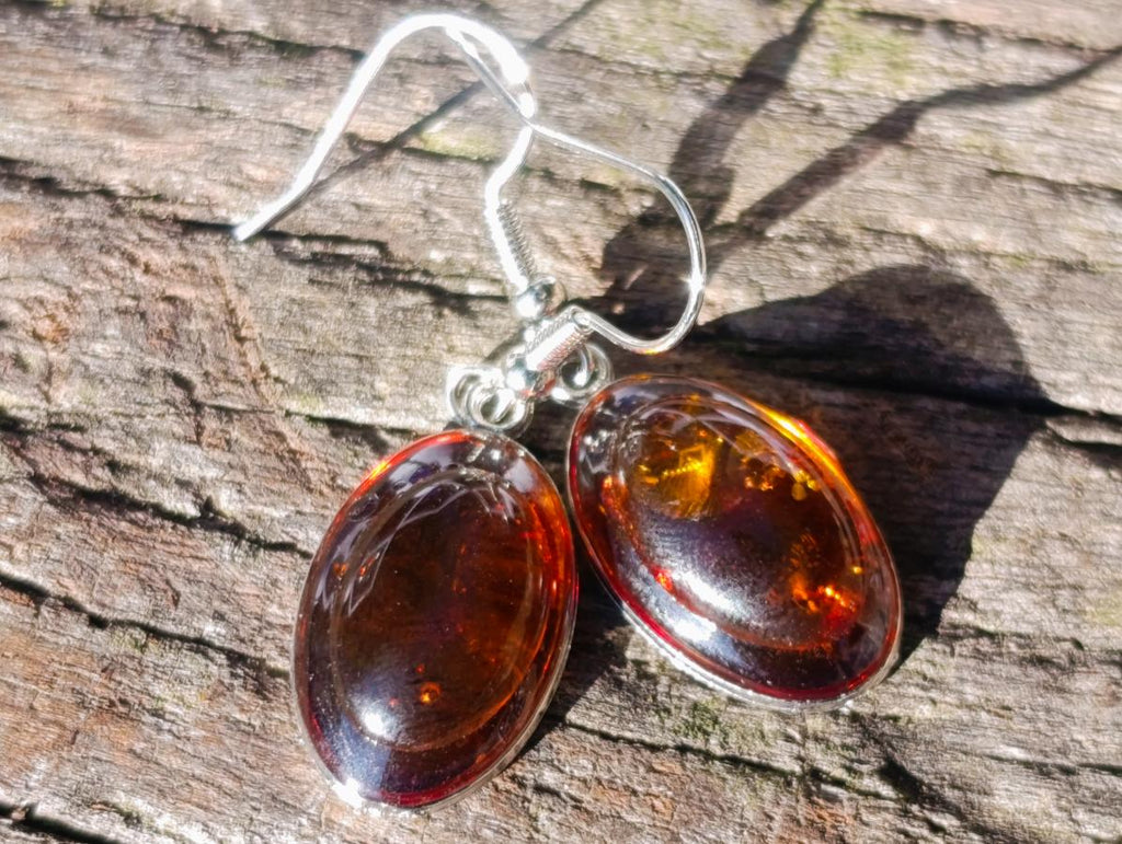 Polished Pair of Fossilised Baltic Amber Cabochon Earrings - Sold Per Pair - From Poland