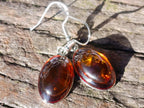 Polished Pair of Fossilised Baltic Amber Cabochon Earrings - Sold Per Pair - From Poland
