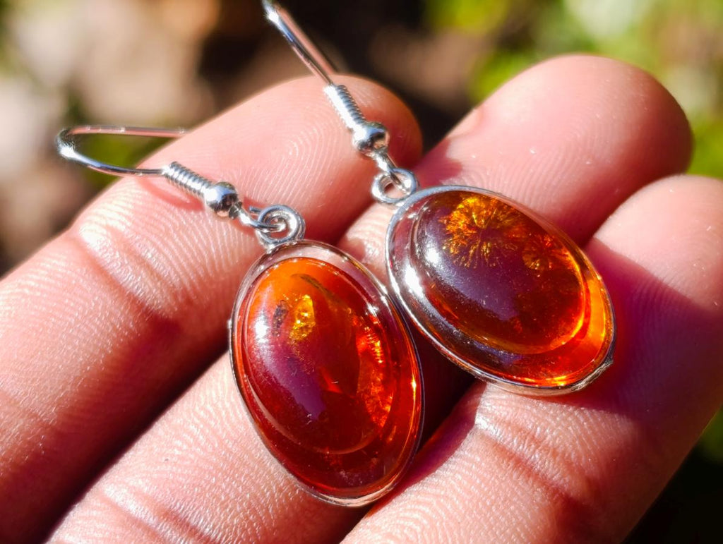 Polished Pair of Fossilised Baltic Amber Cabochon Earrings - Sold Per Pair - From Poland