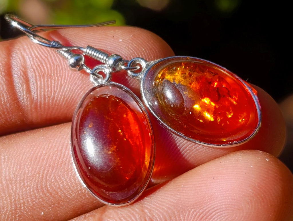 Polished Pair of Fossilised Baltic Amber Cabochon Earrings - Sold Per Pair - From Poland