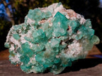 Natural Large Riemvasmaak Bipyramidal Fluorite Specimen x 1 From Riemvasmaak, South Africa