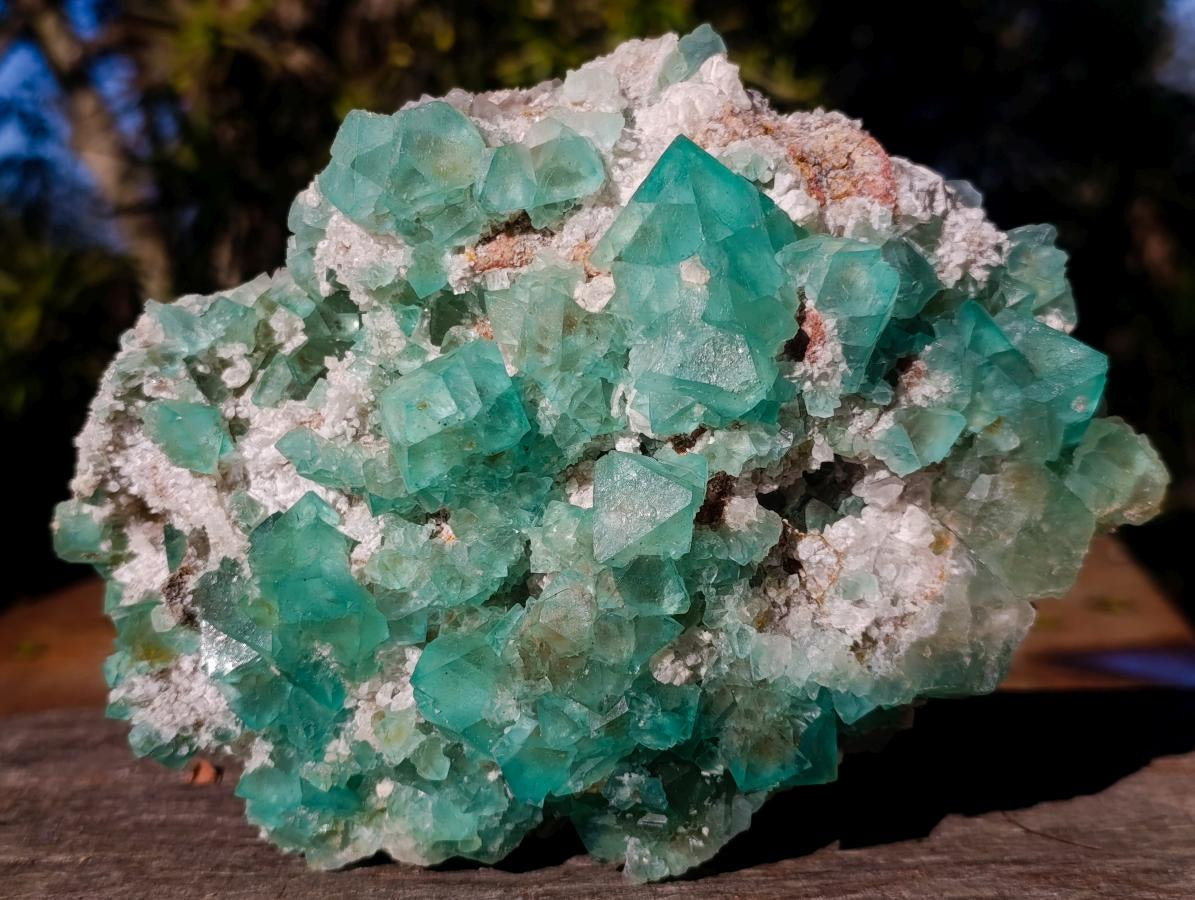 Natural Large Riemvasmaak Bipyramidal Fluorite Specimen x 1 From Riemvasmaak, South Africa