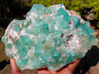 Natural Large Riemvasmaak Bipyramidal Fluorite Specimen x 1 From Riemvasmaak, South Africa