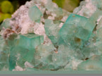 Natural Large Riemvasmaak Bipyramidal Fluorite Specimen x 1 From Riemvasmaak, South Africa