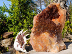 Natural XL Cascading Smokey Amethyst Window Quartz Cluster x 1 From New Schwaben, Namibia