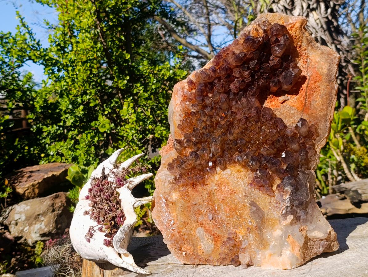 Natural XL Cascading Smokey Amethyst Window Quartz Cluster x 1 From New Schwaben, Namibia